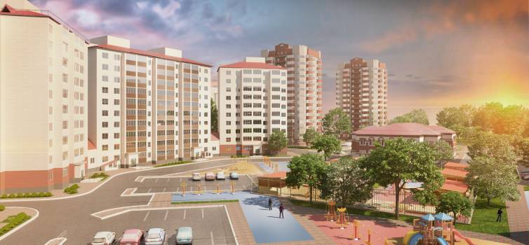 Подсолнухи Амурстрой