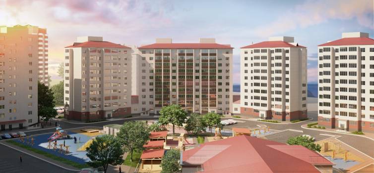 Подсолнухи Амурстрой