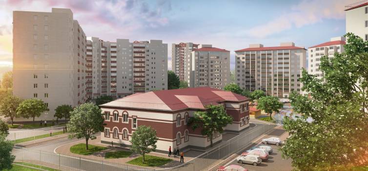 Подсолнухи Амурстрой