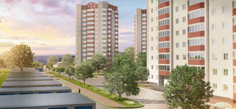 Подсолнухи Амурстрой